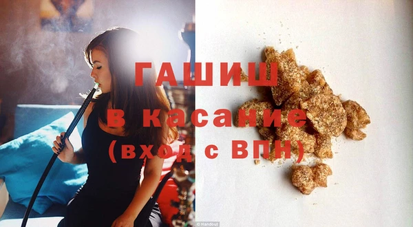 индика Алзамай
