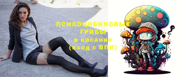 стаф Алексеевка